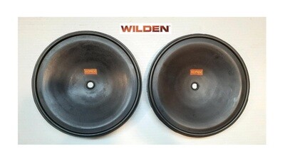 Diaphragm Wilden Pump 1,5&quot; Neoprene - 2 Unit