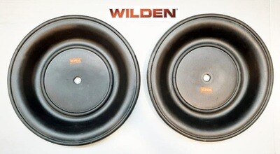 Diaphragm Wilden Pump 2&quot; Neoprene - 2 Unit