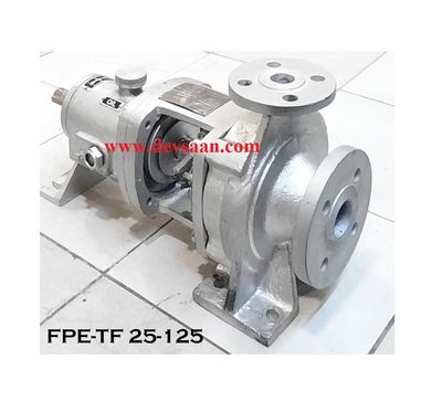 Thermic Fluid Pump FPE-TF 25-125 Pompa Sentrifugal Oli Panas