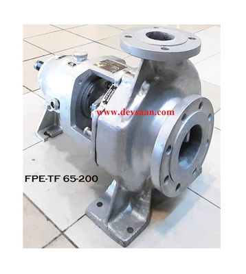 Thermic Fluid Pump FPE-TF 65-200 Pompa Sentrifugal Oli Panas