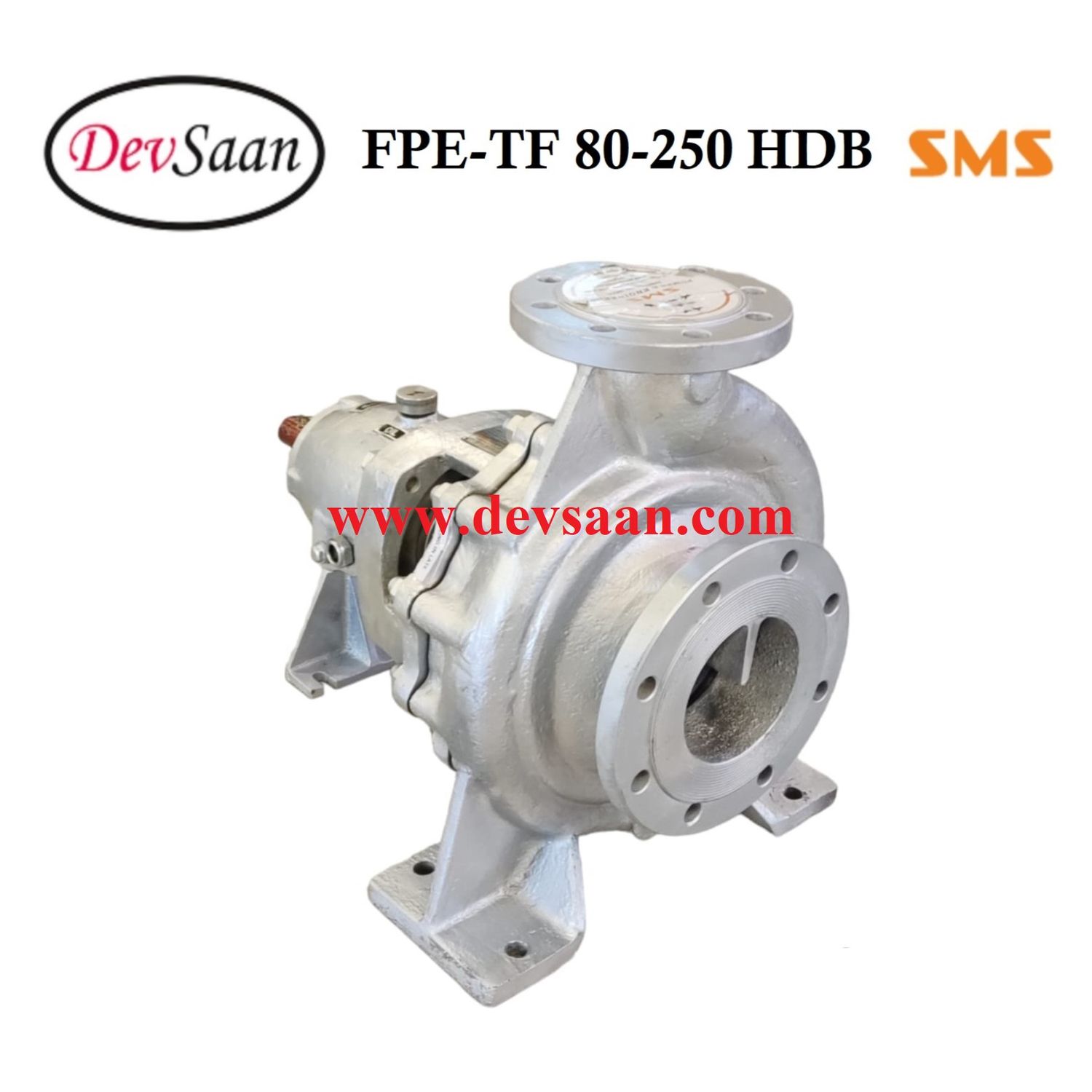 Thermic Fluid Pump FPE-TF 80-250 HDB Pompa Sentrifugal Oli Panas
