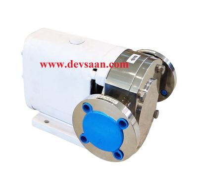 Rotary Lobe Pump DILB-150L Pompa Rotari Lobe