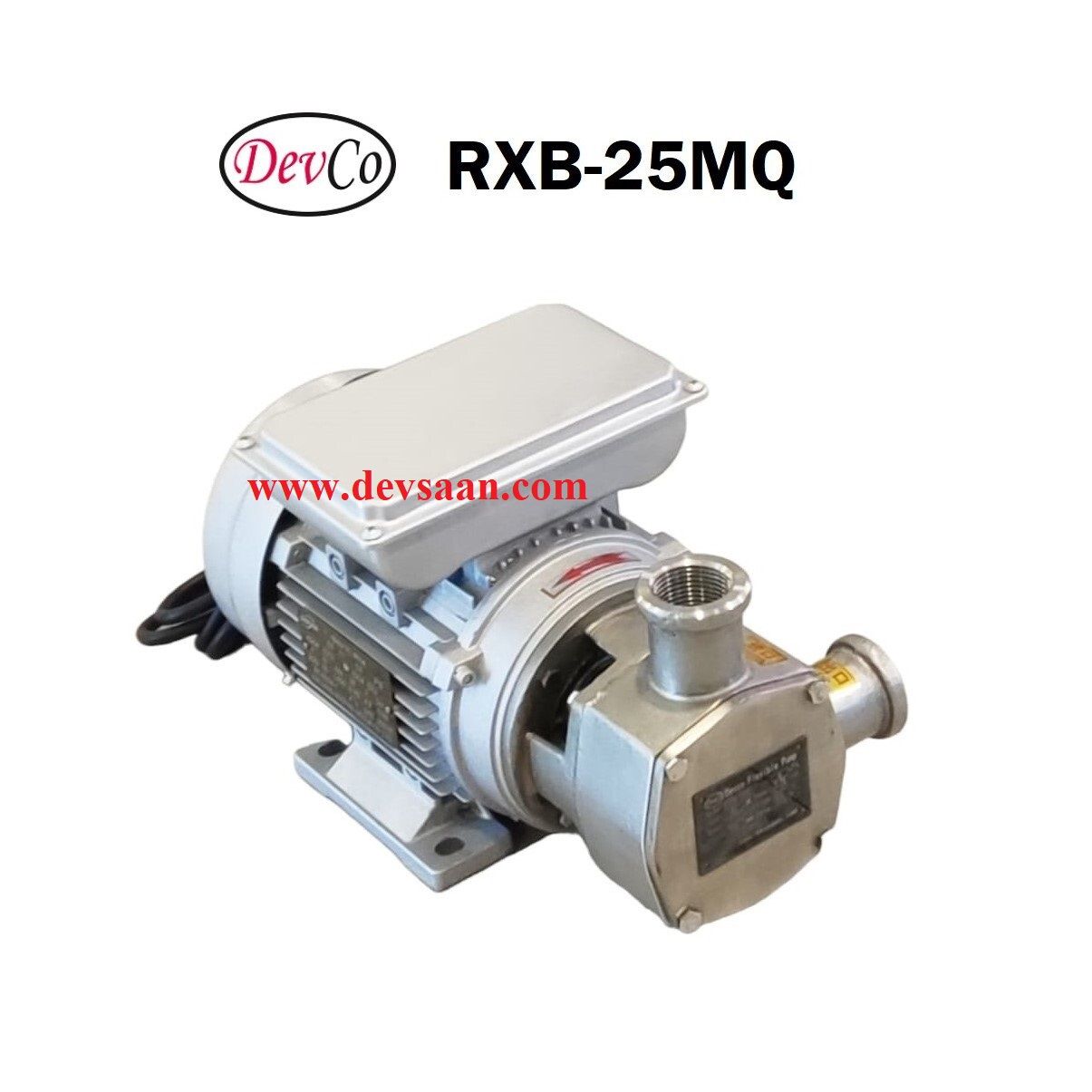 Flexible Impeller Pump SS-304 RXB-25MQ Pompa Impeler Karet