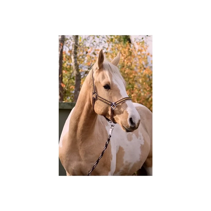 Halfterset "Starlet"