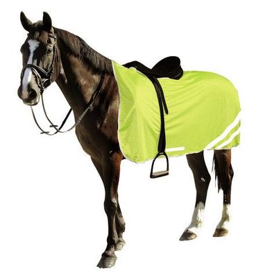 Sicherheit beim Reiten