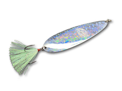 The Big Spoon Holographic Silver