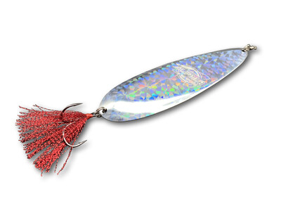 The Big Spoon Holographic Silver Especial Lucio