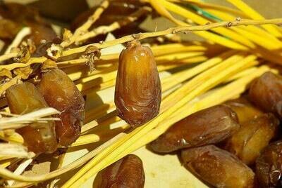 Dates