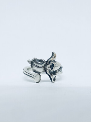 Anello SPIRALE IRIS antica posata in argento