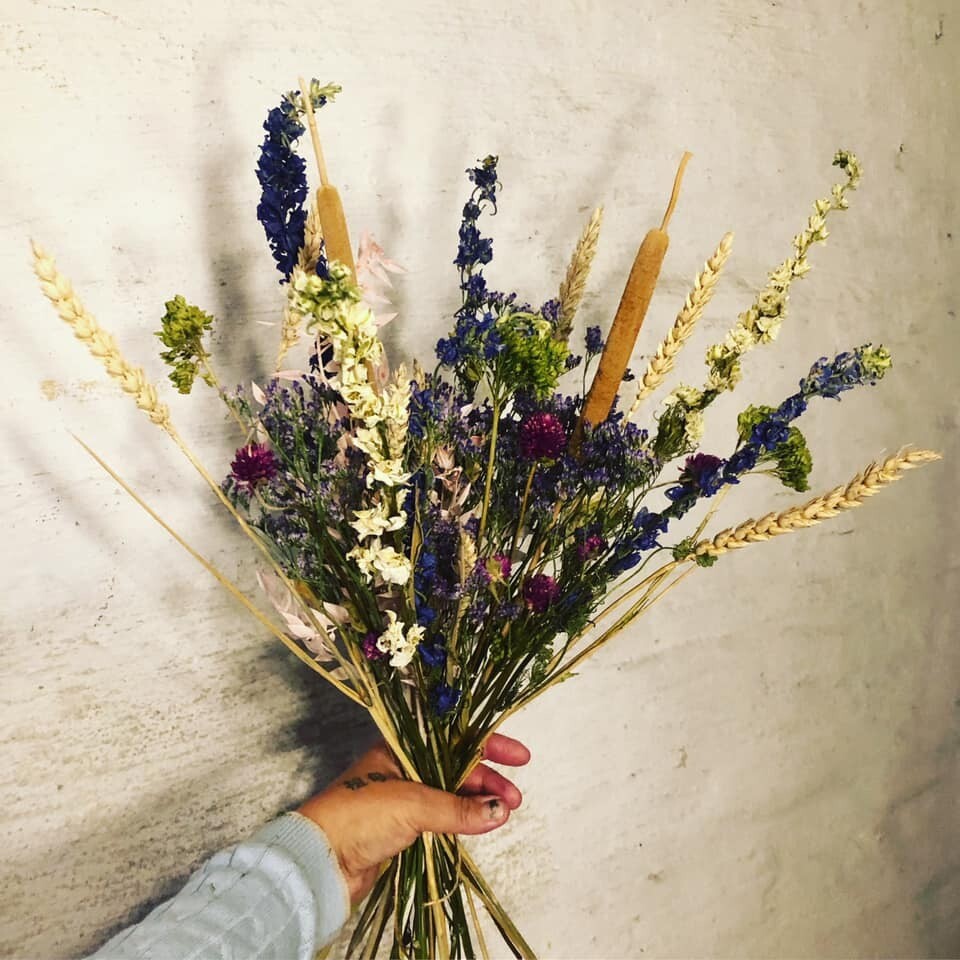 Tørret lilla sommer blomster