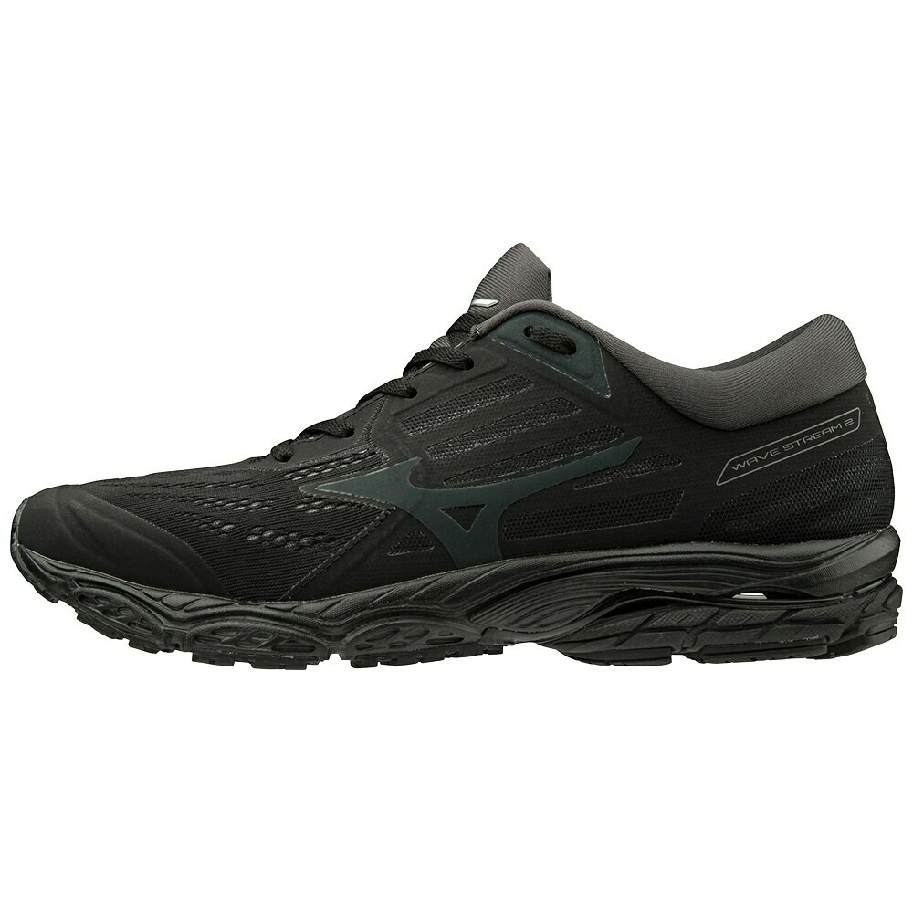 Mizuno Wave Stream 2