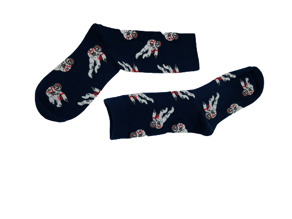 Astronaut Socks