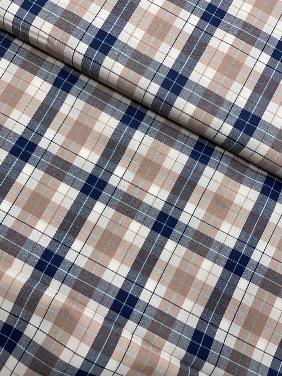 Salmon Checks