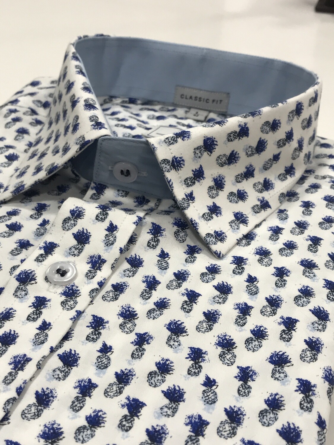 Pineapple Print