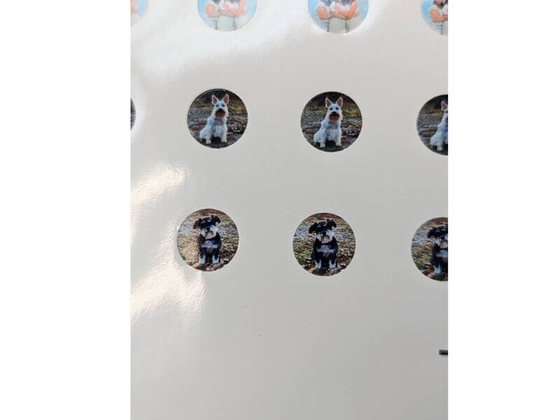 Resin Rockers Round Spinner Bezel Prints