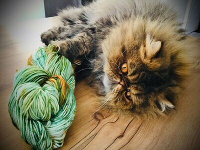 NOUVEAUX PRODUITS DU JOUR