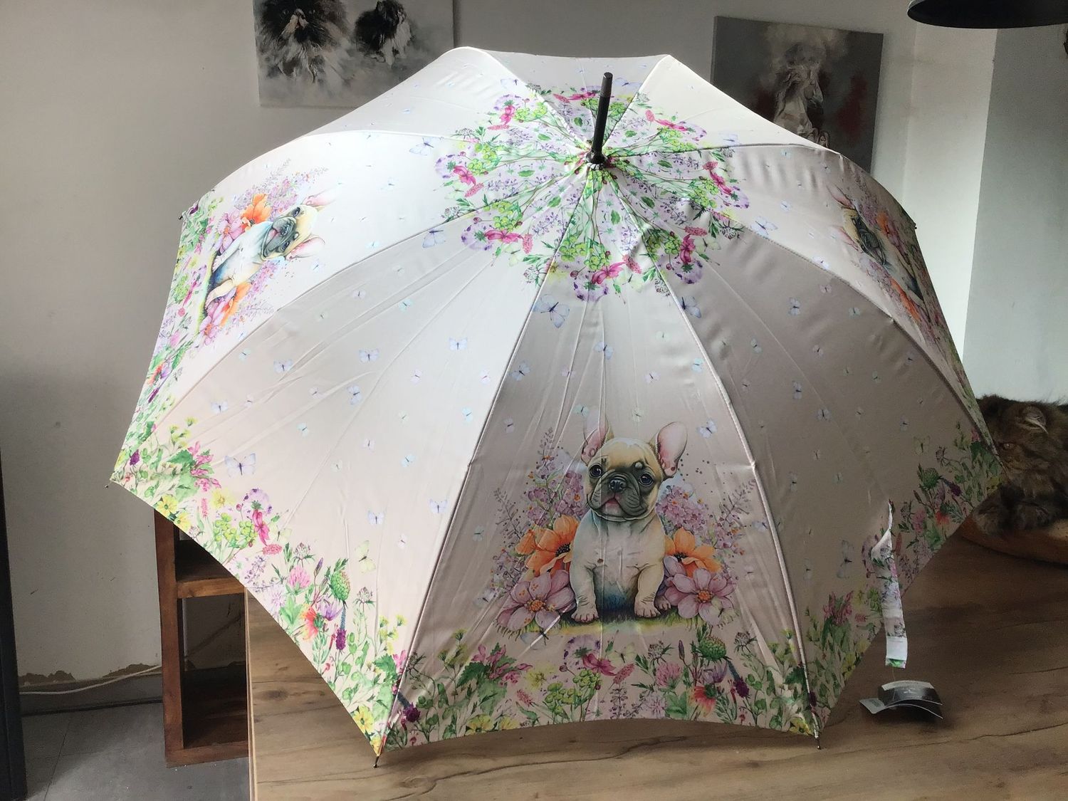 Parapluie bouledogue