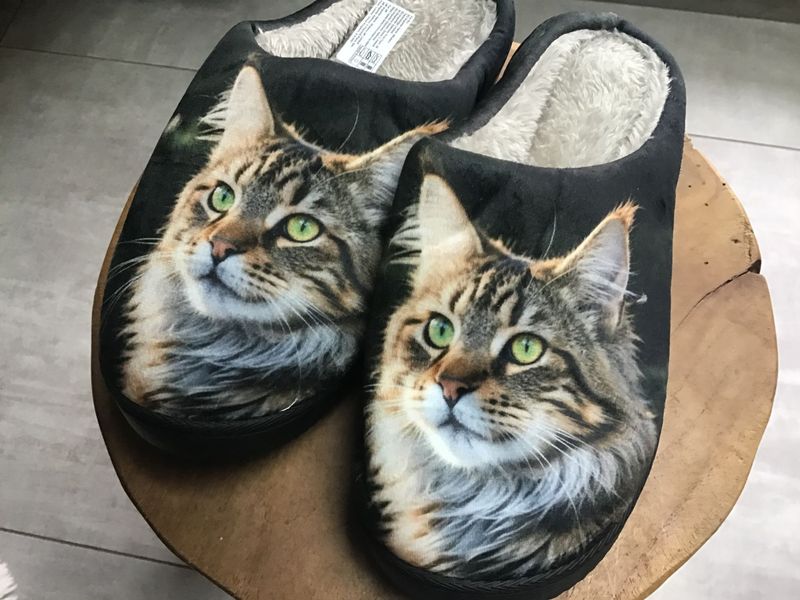 Chaussons chat