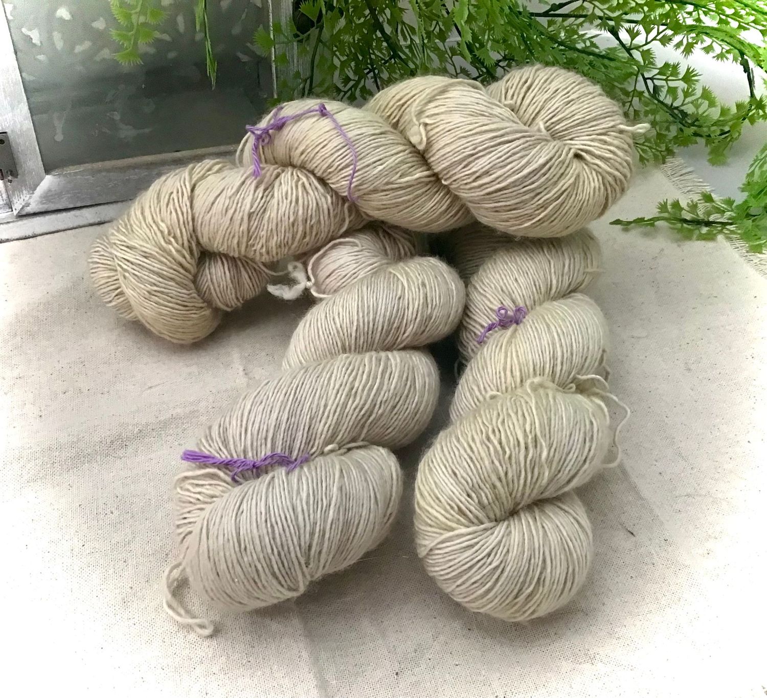 Mérinos single réf 0229