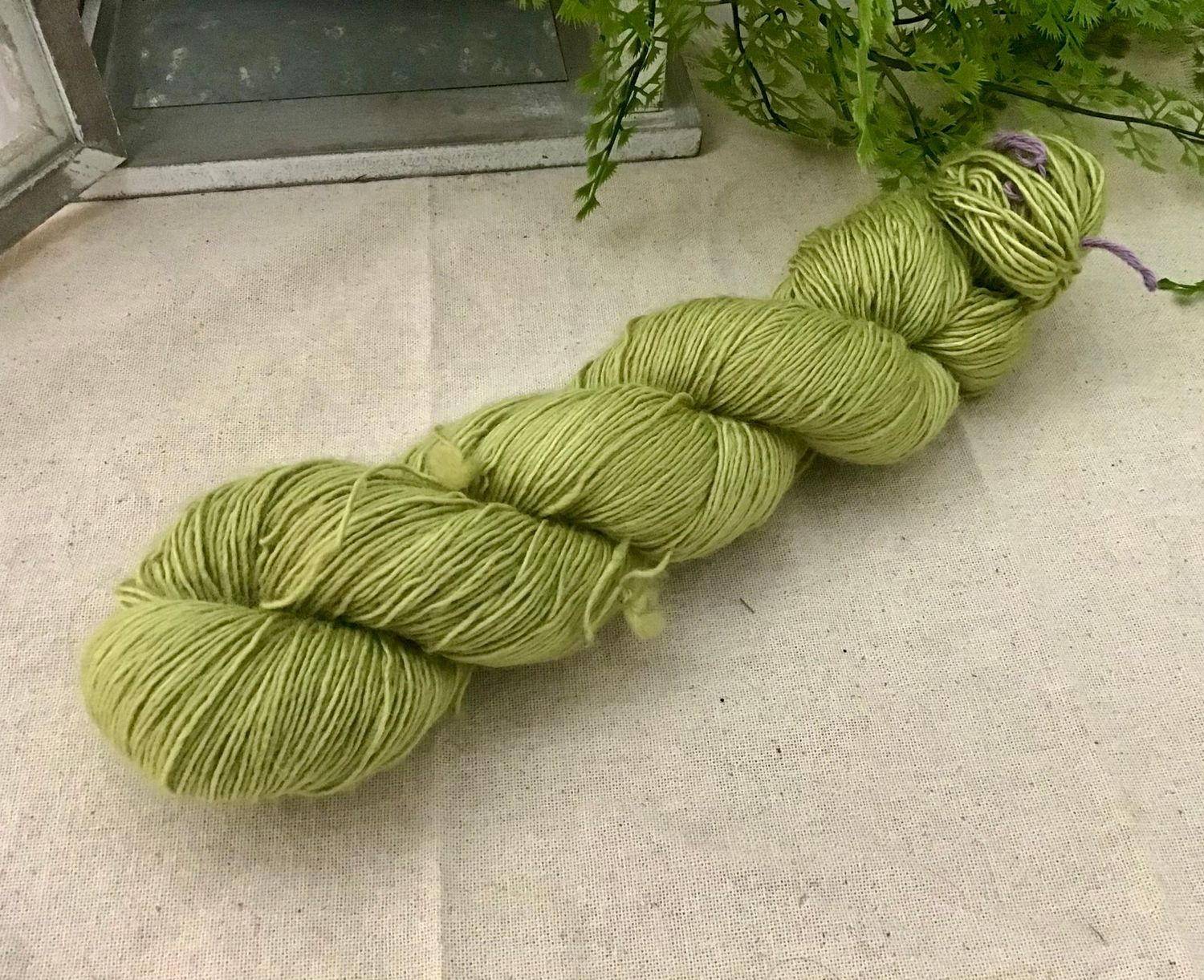 Mérinos single réf 0065