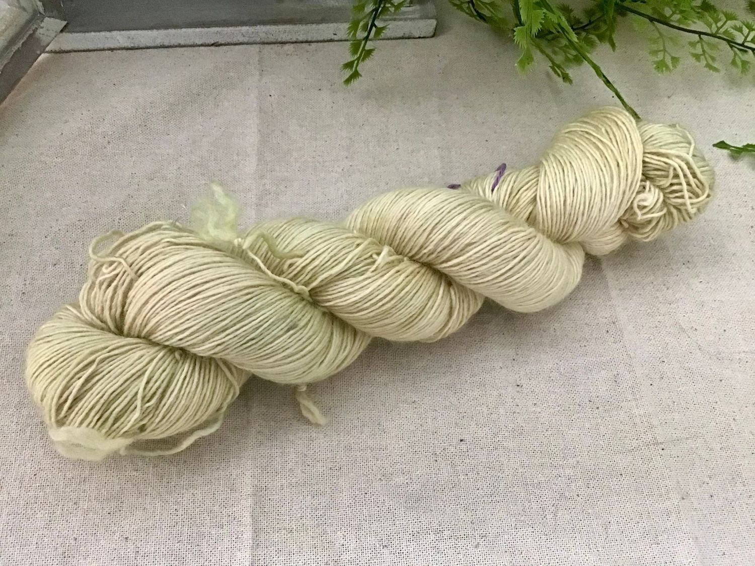 Mérinos single réf 421