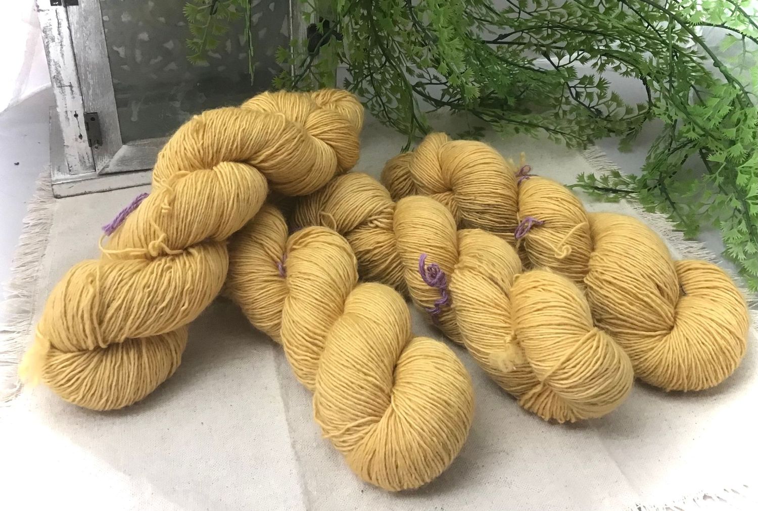 Mérinos single 0225