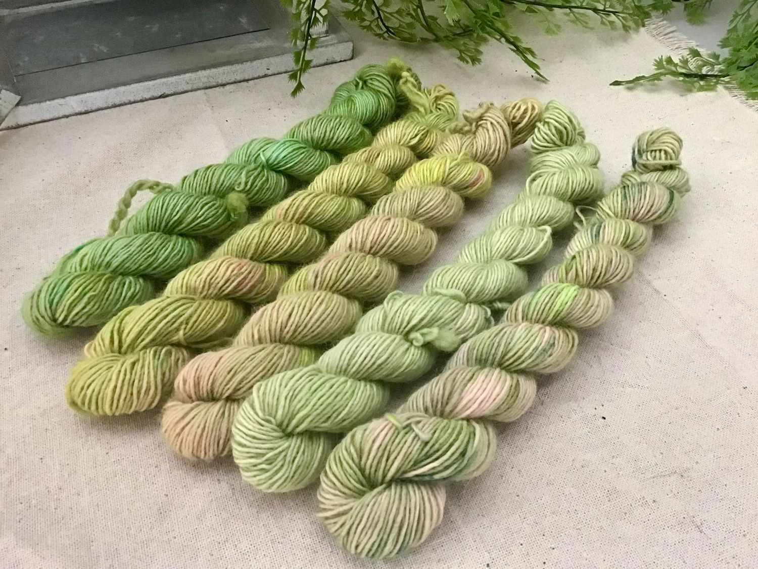 Minis singles réf 5798