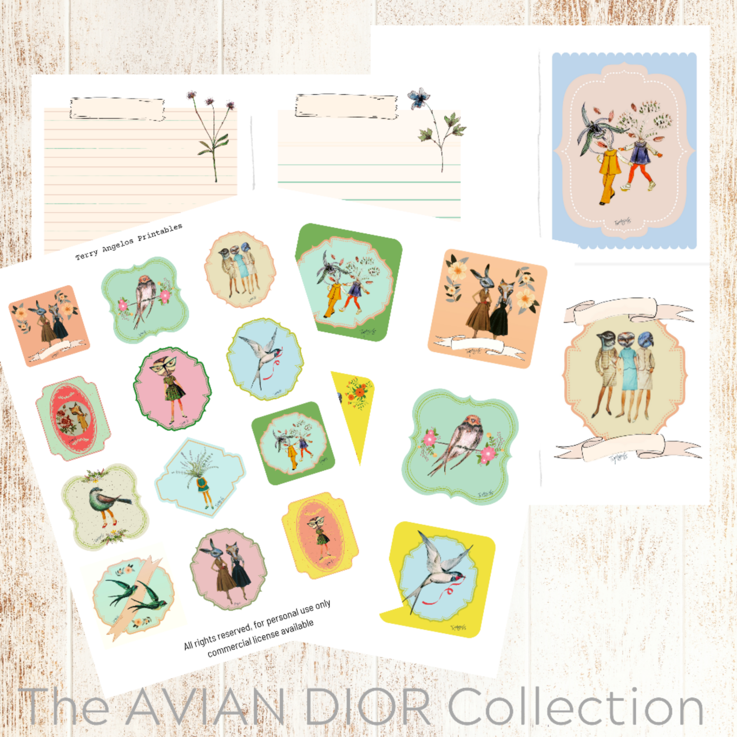 The AVIAN DIOR Collection