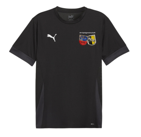 Puma teamGoal Trainingstrikot