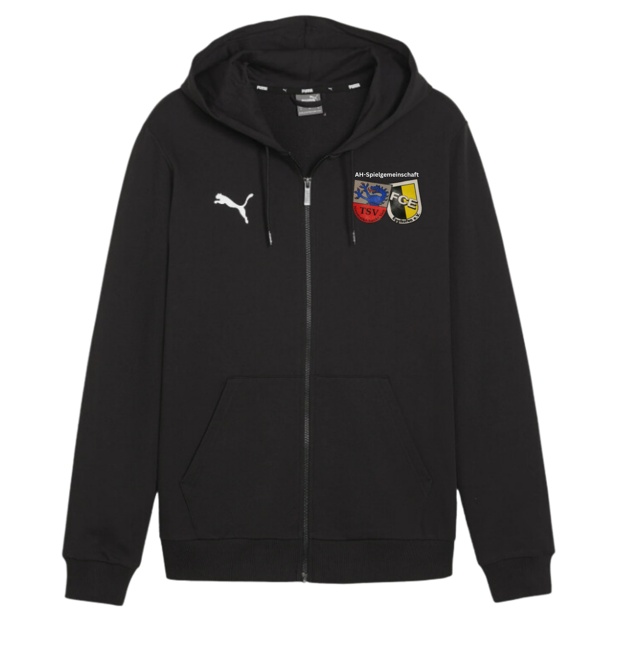 Puma teamGoal Hoodiejacke