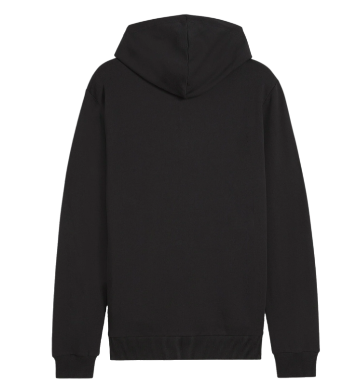 Puma teamGoal Hoodiejacke