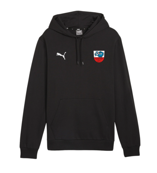 Puma teamGOAL Casuals Hoody