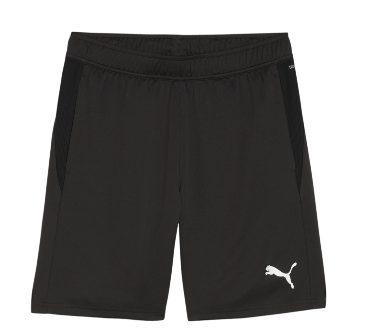 Puma teamGoal Trainingsshort