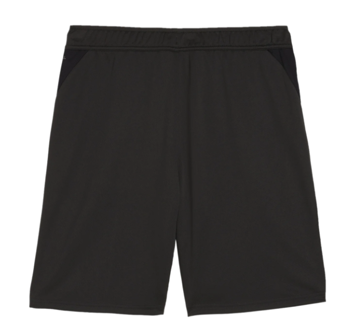Puma teamGoal Trainingsshort