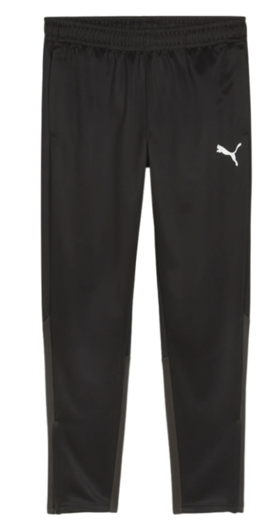 Puma teamGoal Trainingspant