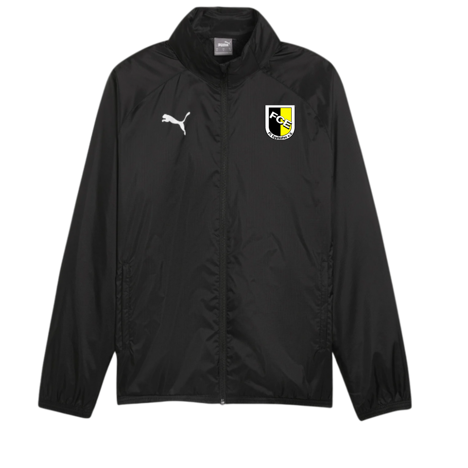 Puma teamGoal Regenjacke