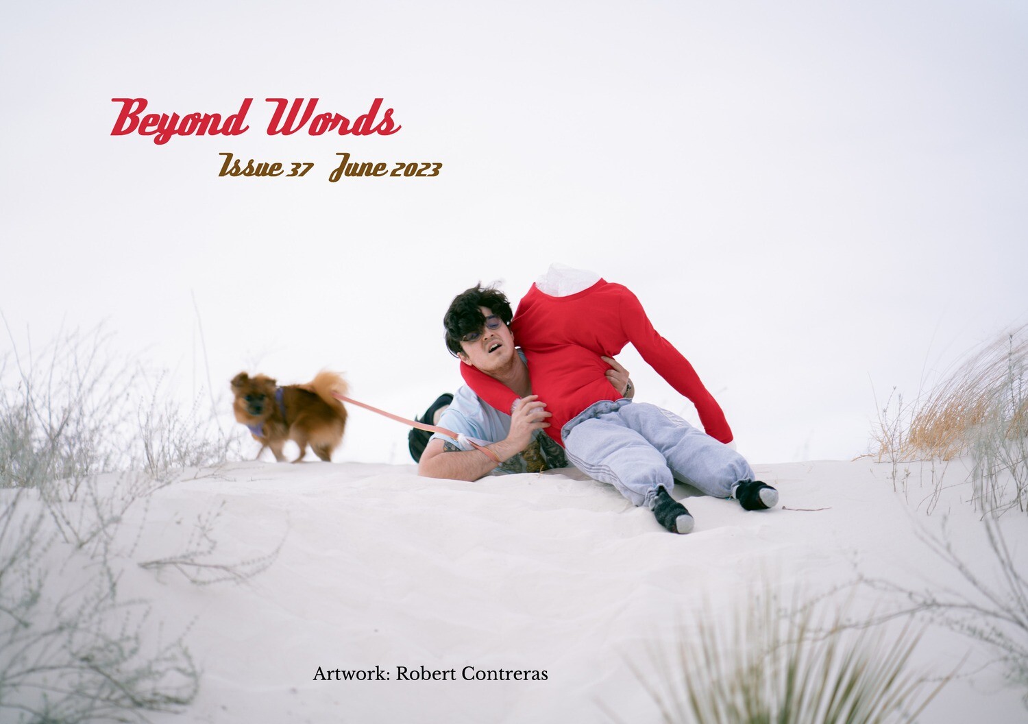 Beyond Words Literary Magazine, Issue 37, June 2023