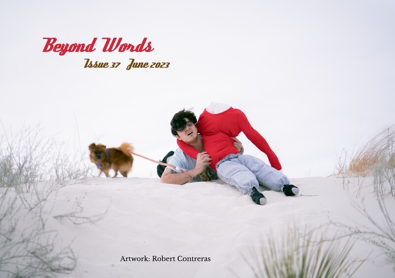 Beyond Words Literary Magazine, Issue 37, June 2023