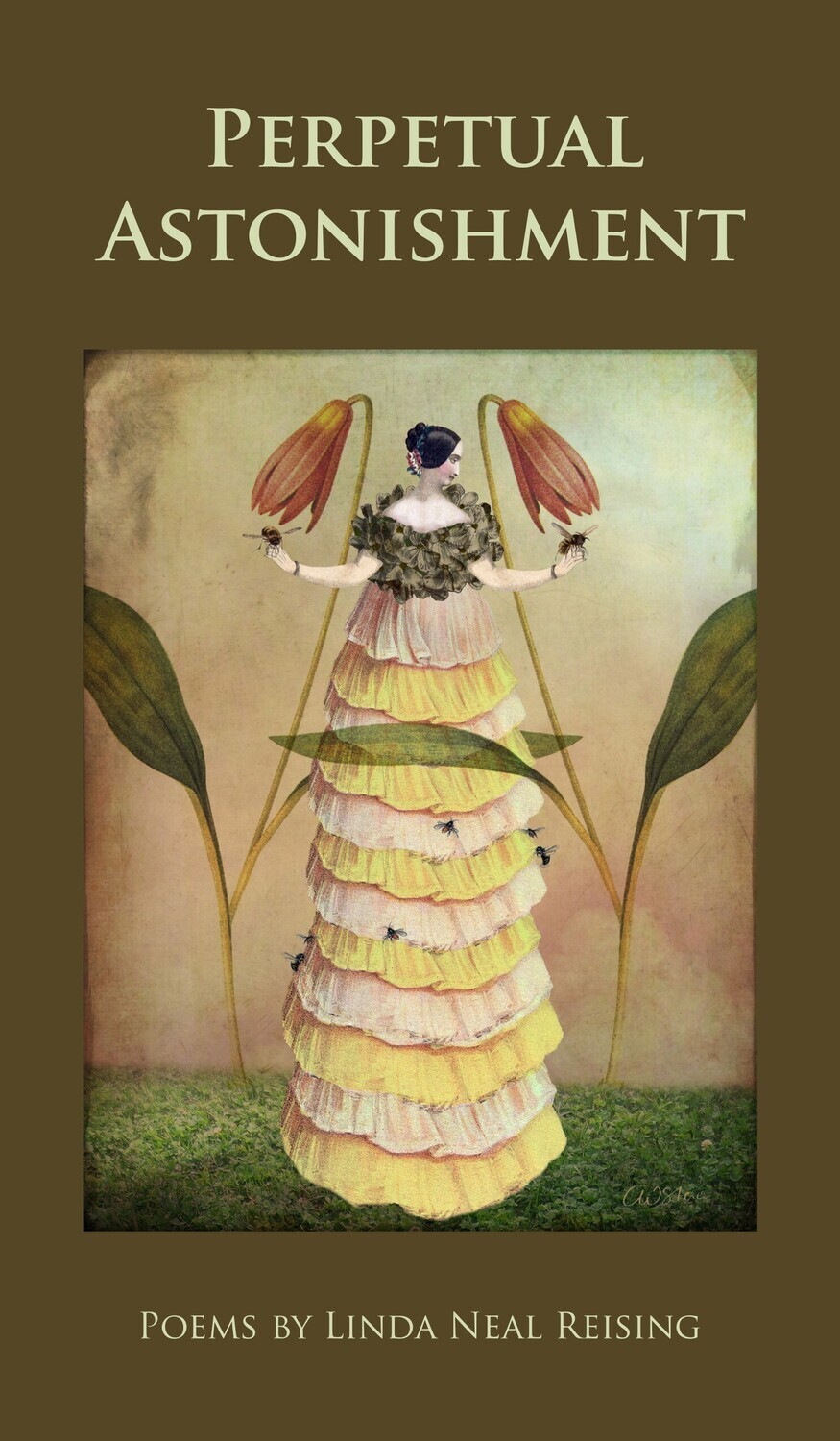 Perpetual Astonishment - A Poetry Chapbook by Linda Neal Reising