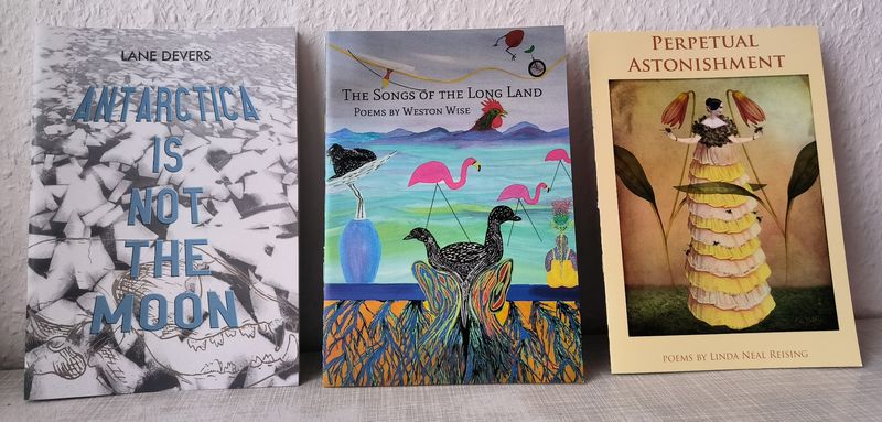 POETRY CHAPBOOK BUNDLE: PERPETUAL ASTONISHMENT + ANTARCTICA IS NOT THE MOON + THE SONGS OF THE LONG LAND