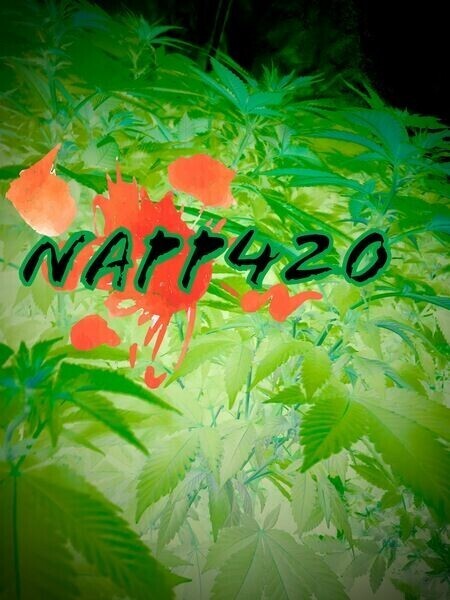 Digital Napp420 Cloudy Points Card