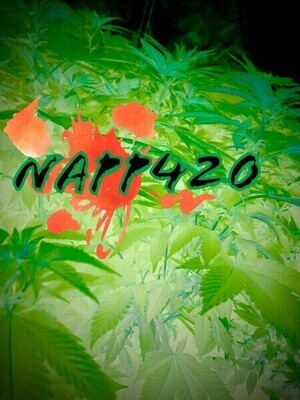 Digital Napp420 Cloudy Points Card