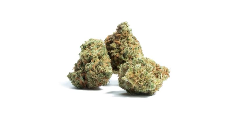 Gorilla Snax