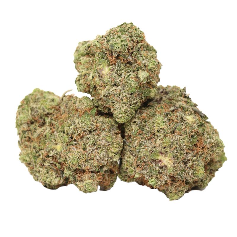 King Louis XIII