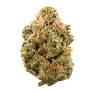 Pre-98 Bubba Kush