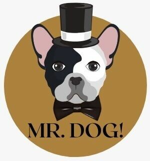 MR.DOG!