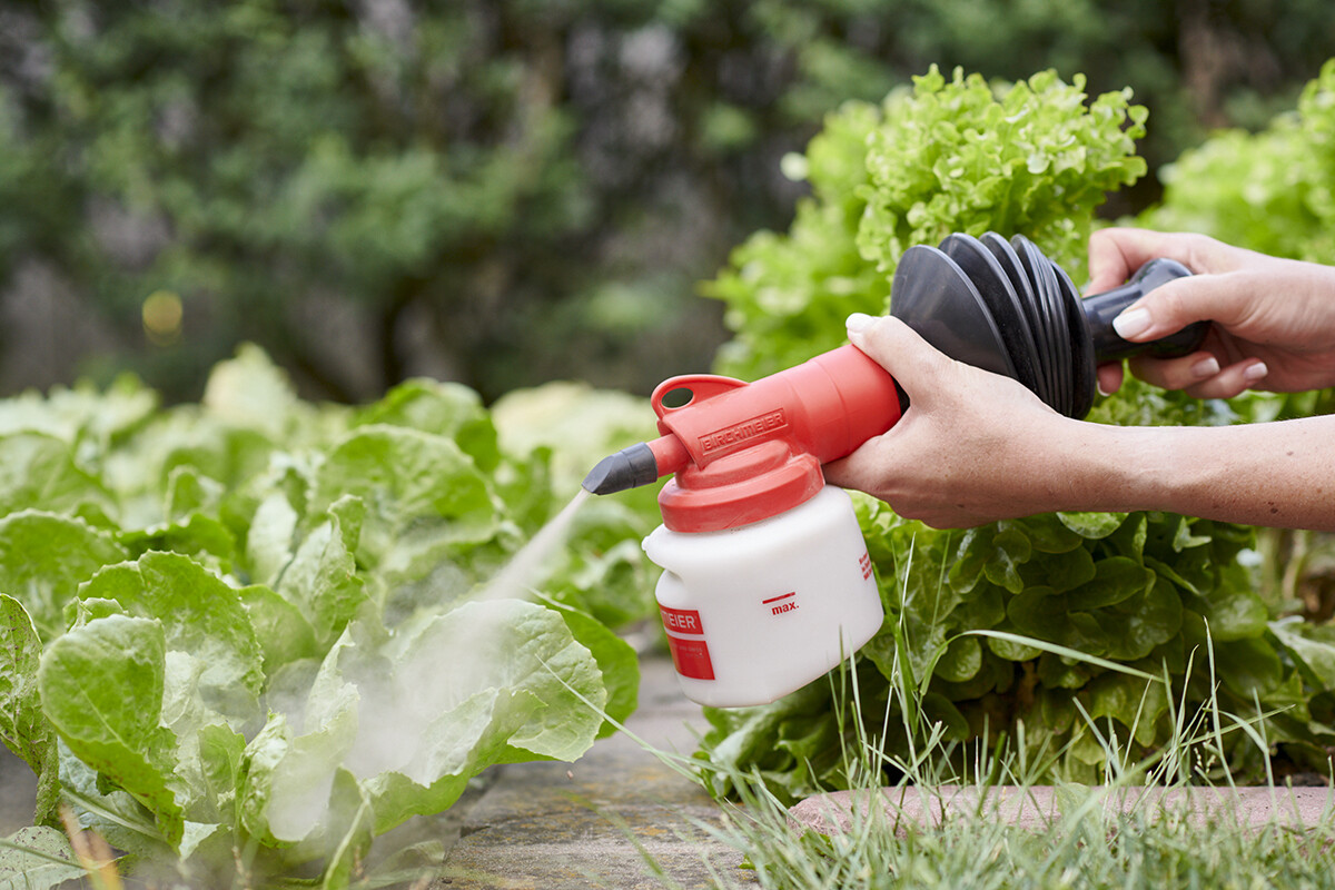 Suflător praf BOBBY cu pompă, manual