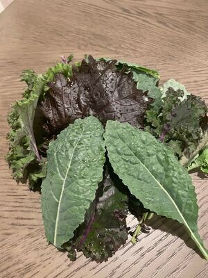 Baby Leaf Kale