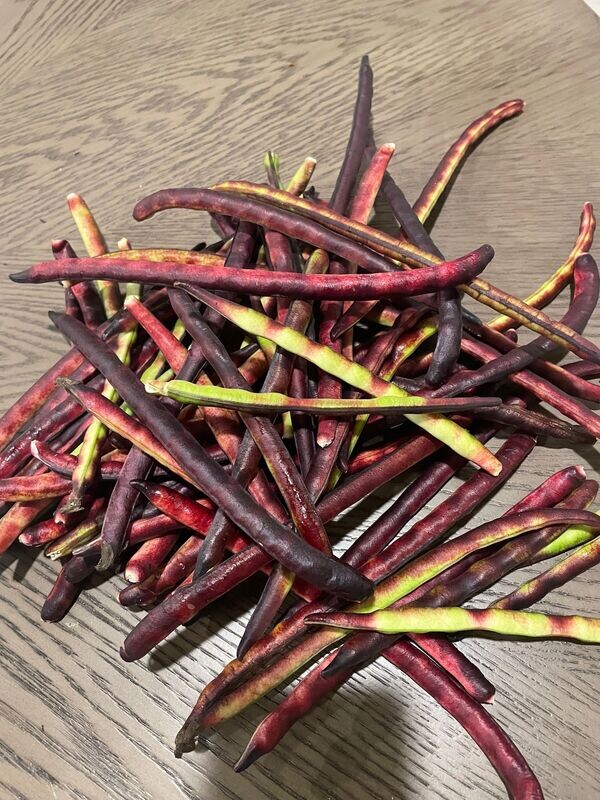 Purple Hull Peas in the Shell