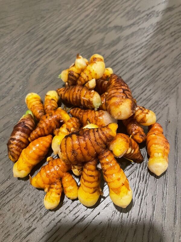 Turmeric